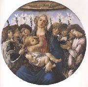 Sandro Botticelli Madonna and child with eight Angels or Raczinskj Tondo Germany oil painting artist